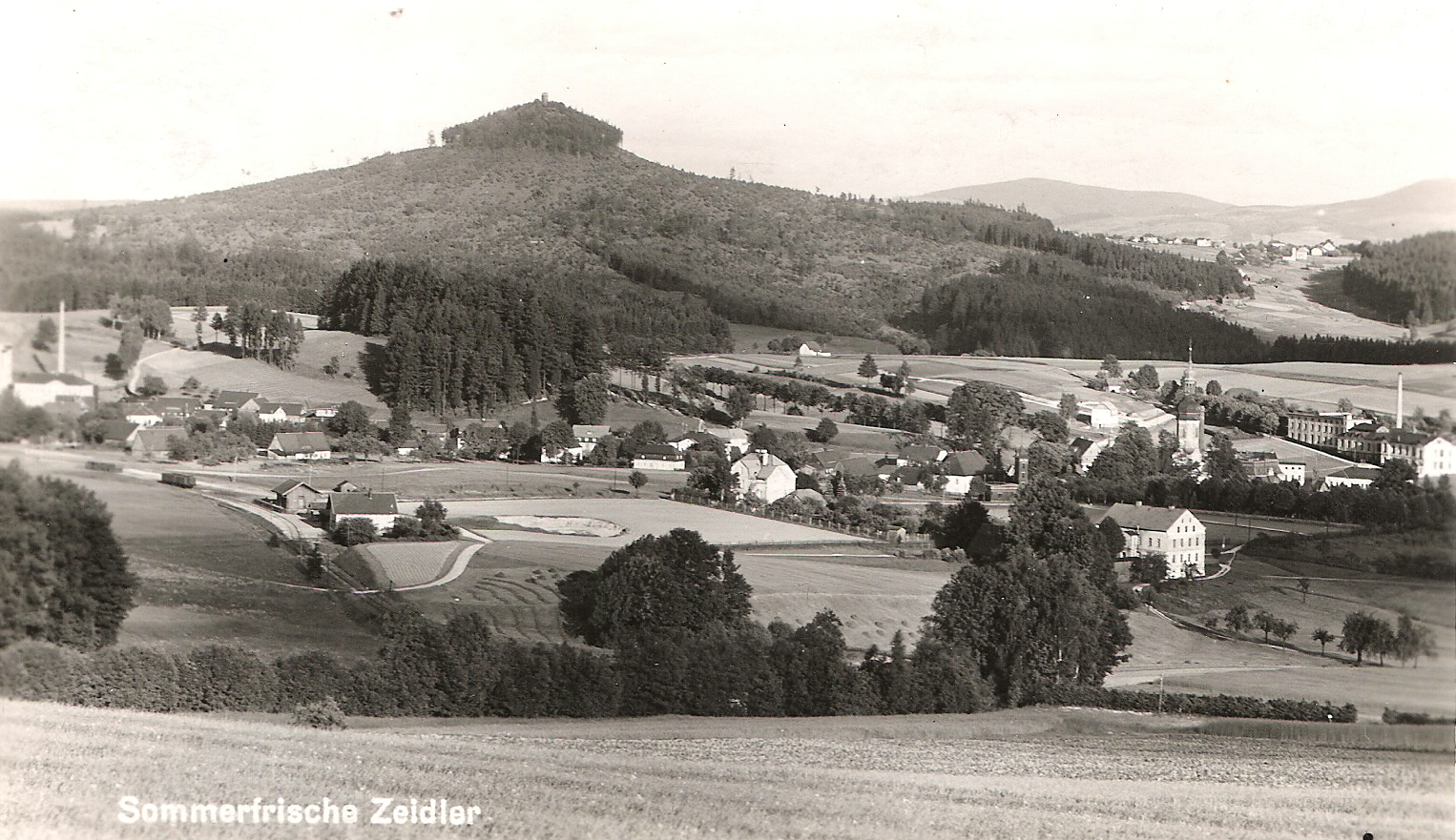 zeidler3.jpg