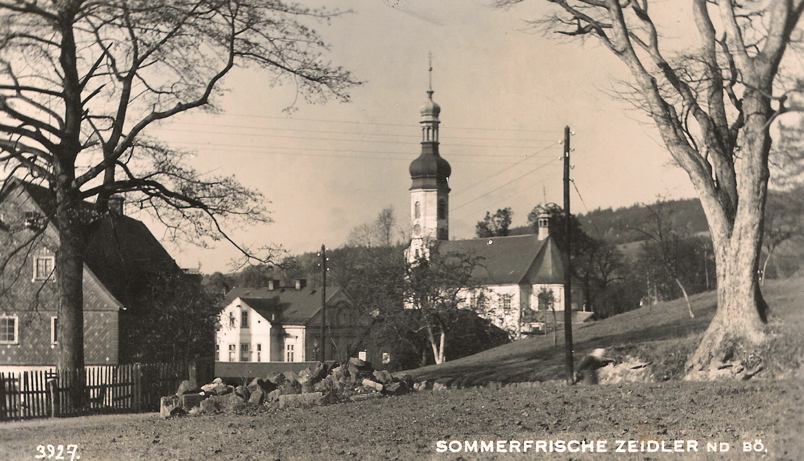 zeidler5.jpg