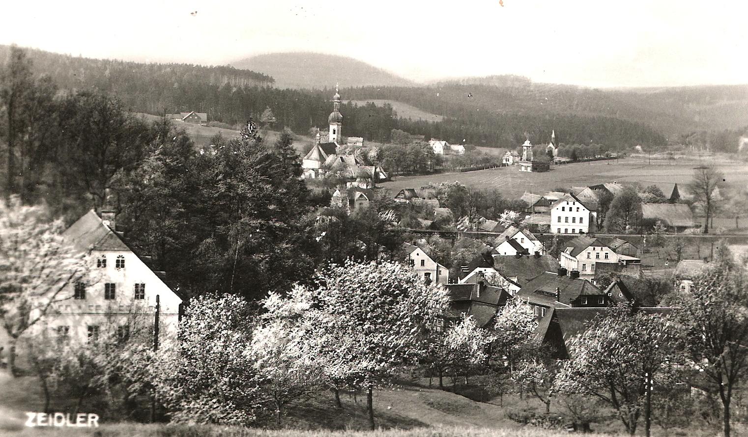 zeidler6.jpg