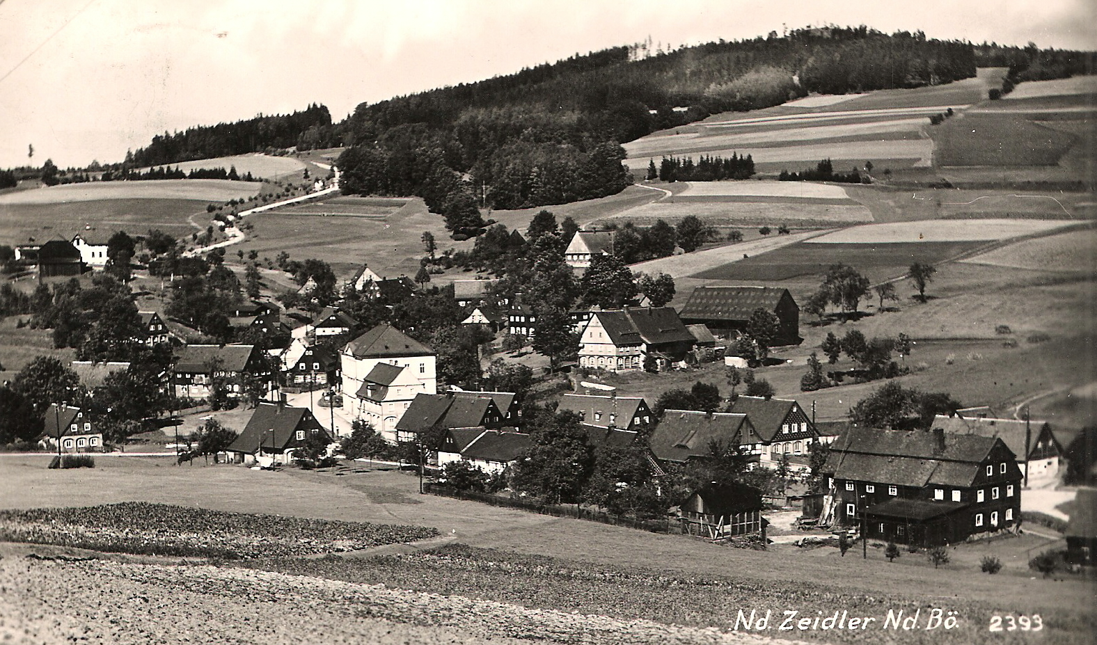 zeidler7.jpg