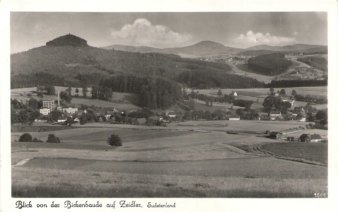 zz025.jpg