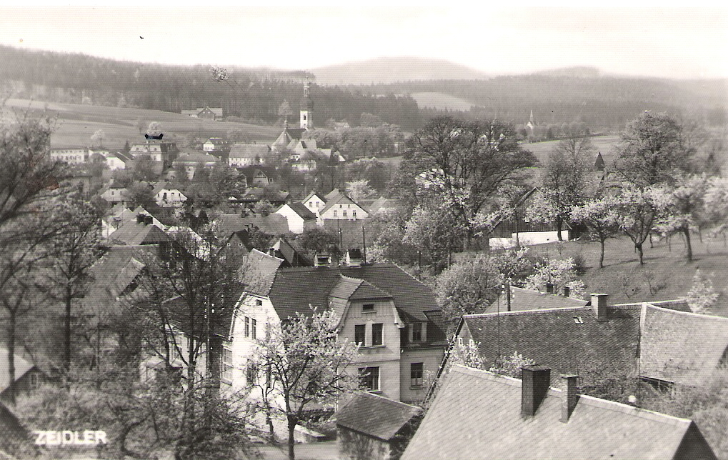 b0081